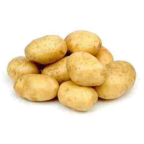 A Grade Farm Fresh Potatoes