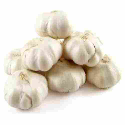 Fresh White Natural Garlic