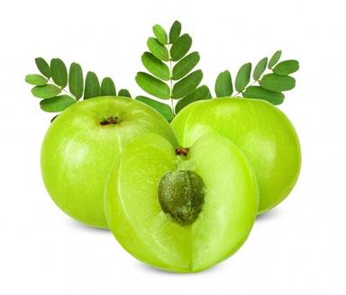 Organic Dried Amla Fruit Ingredients: Herbal Extract