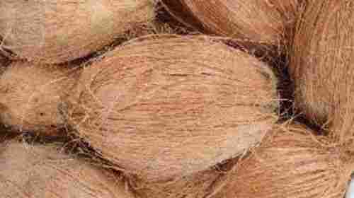 Brown Semi Husked Coconut