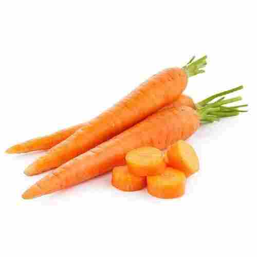 Fresh Orange Carrot for Food