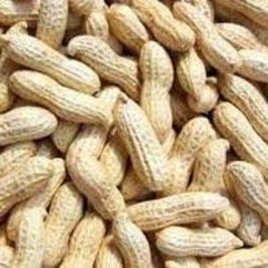 Brown Healthy Raw Shelled Groundnuts