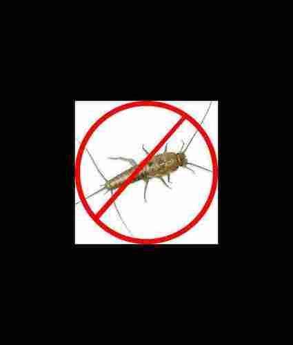 Pest Control Anti Termite Treatment Services