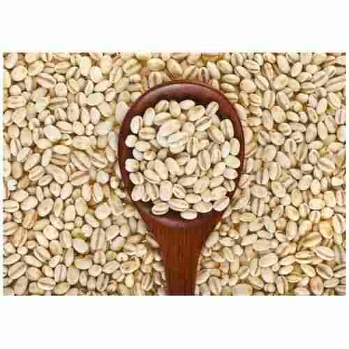 Brown Barley Seeds for Food
