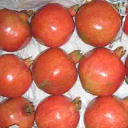 Organic Fresh Pomegranates Fruits