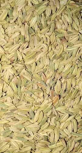 Green Natural Dried Fennel Seed