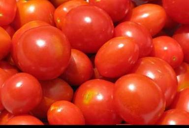 A Grade Red Fresh Tomato Grade: A-Grade