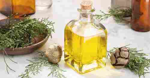 Cypress Oil For Relieve Muscle Pain