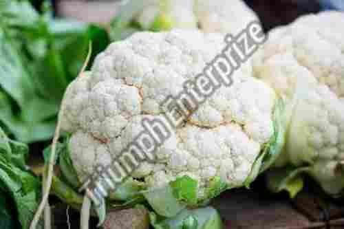 Fresh Green Cauliflower For Cooking