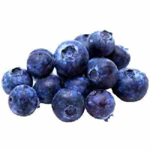 Fresh Organic Blueberry Fruits