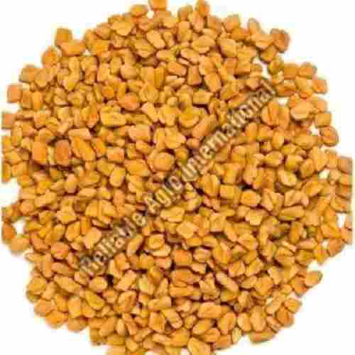 Pure Fenugreek Seeds for Food