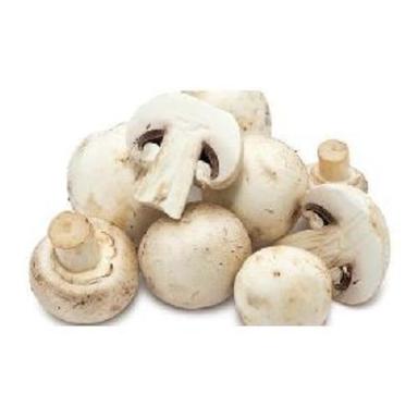 Organic White Fresh Mushrooms For Cooking