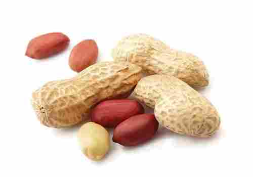 Protein Rich Raw Peanuts