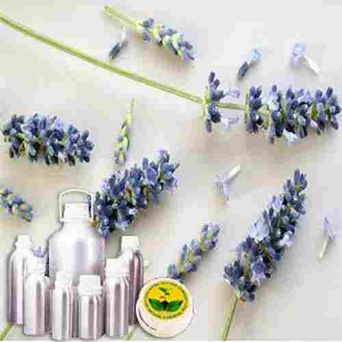 Lavender Therapeutic Grade Oil