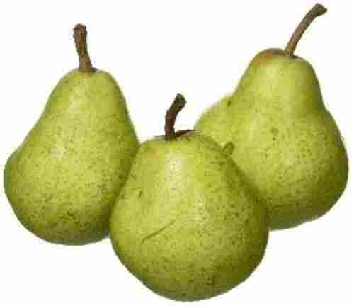 Green Fresh Pears Fruits