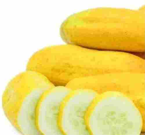 Fresh Yellow Cucumber for Food