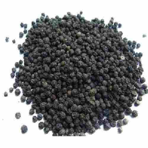 Black Pepper Seeds for Food