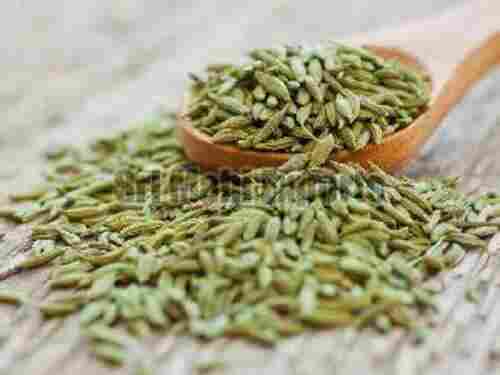 Natural Fennel Seeds for Food