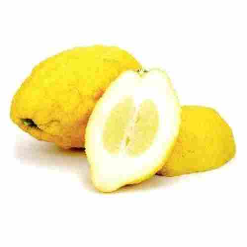 Pure Fresh Citron Fruit