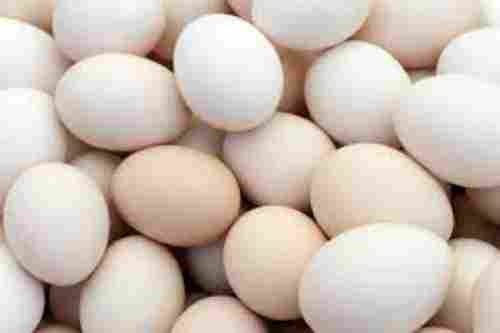 White Color Chicken Eggs