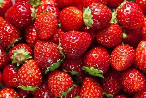 High Purity Fresh Strawberries