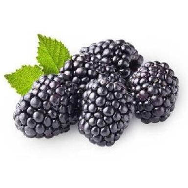 Black Natural Fresh Blackberry Fruits