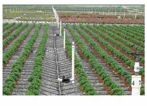 Drip Irrigation System for Agriculture