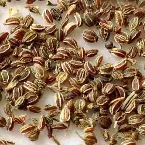 100% Natural Celery Seed