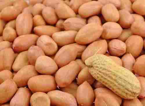 High Purity Red Peanuts