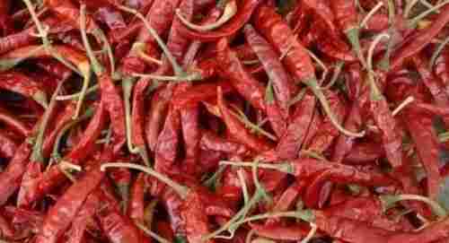 Dried Teja S17 Red Chilli