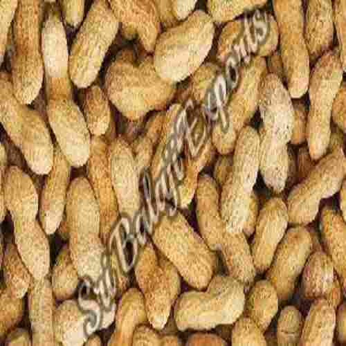 100% Pure Raw Groundnuts