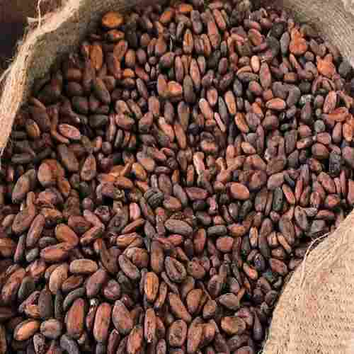 Sun Dried Cocoa Bean