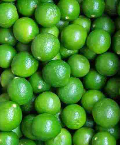 Natural Fresh Green Lemon Limbu
