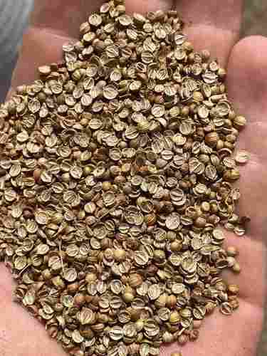 Russia Origin Split Coriander Seeds New Crop