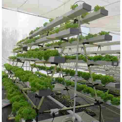 Commercial Hydroponics NFT System