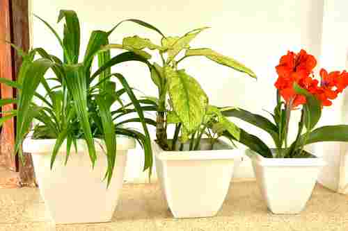 FRP Decorative Flower Pots
