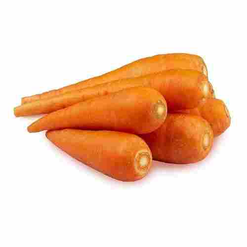 Fresh Organic Orange Carrot
