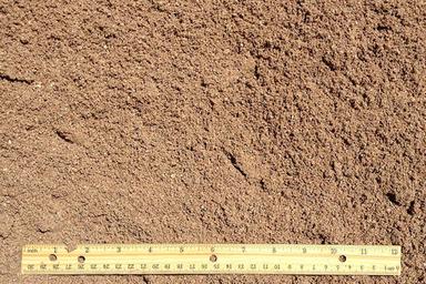 Mortar Sand Ingredients: Protamine Sulphate Injection Ip