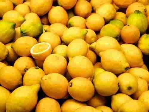 Organic Farm Fresh Lemon