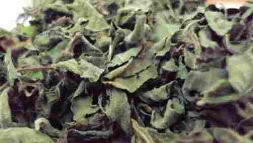 Natural Dried Tulsi Leaves