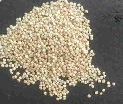 White Color Quinoa Seed