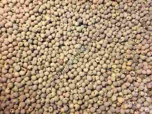 Healthy and Natural Hybrid Brown Okra Seeds