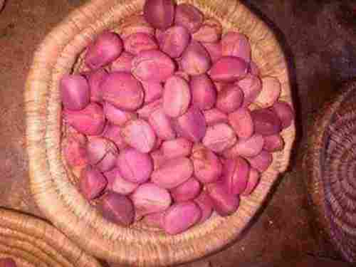 Natural Fresh Kola Nut