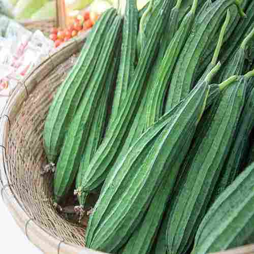 Healthy and Natural Ridge Gourd Seeds