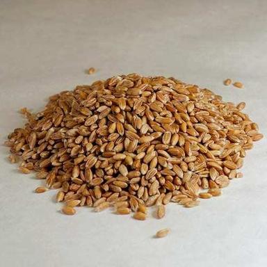 Food Grade Spelt Grain Admixture (%): .5