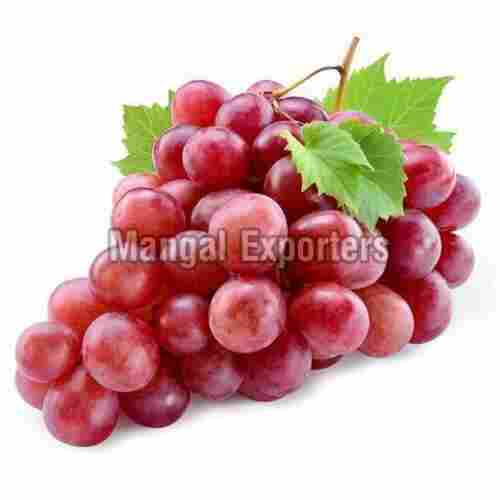 Organic and Natural Fresh Red Grapes