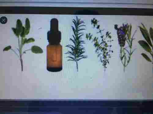 Herbal Oil 