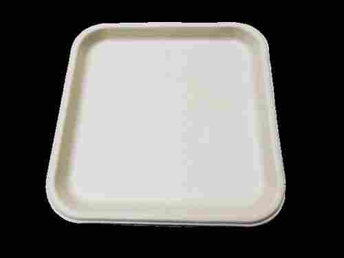 11 inch Bagasse Plate