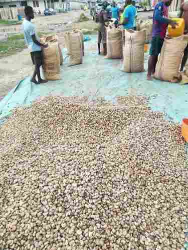 Highly Nutritious Raw Cashew Nuts