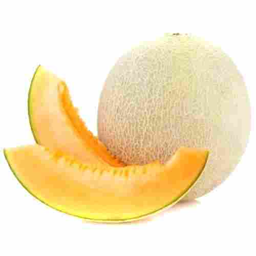 Healthy and Natural Fresh Muskmelon